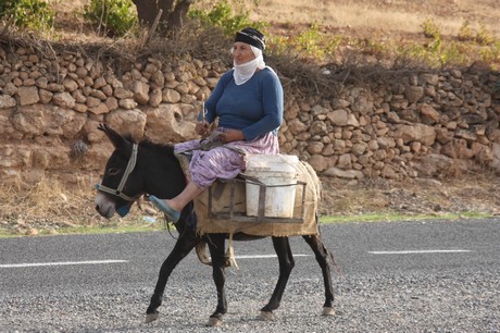 Sonbahar ile birlikte yeşil örtünün yerini sarı örtüye bıraktığı bölgede, köylülerin kış hazırlığı başladı. Köylüler, bağ bozumu ile pestil (Bastiq), cevizli sucuk (Benî), pekmez ve salça gibi ürünlerle kışa hazırlanıyor.