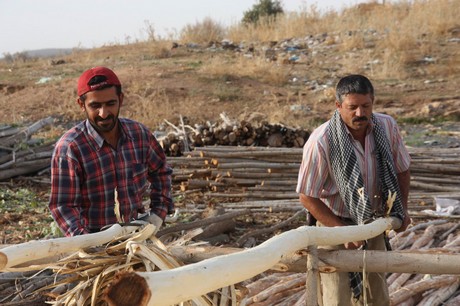 Sonbahar ile birlikte yeşil örtünün yerini sarı örtüye bıraktığı bölgede, köylülerin kış hazırlığı başladı. Köylüler, bağ bozumu ile pestil (Bastiq), cevizli sucuk (Benî), pekmez ve salça gibi ürünlerle kışa hazırlanıyor.