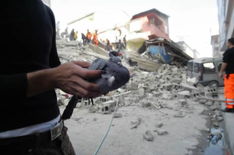 Van bugün saat 13.41'de Richter ölçeğine göre 7,2 büyüklüğünde Van merkezli depremle sarsıldı. 