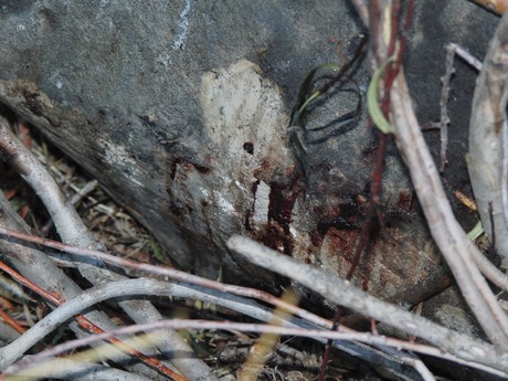 Çukurca'nın Kazan Vadisi'nde (Gelyê Tiyarê) hem incelemelerde bulunmak hem de isimleri açıklanan ancak cenazeleri bulunmayan PKK'lileri aramak için bölgeye giden heyet, 4 PKK'linin cenazesine ulaştı. 