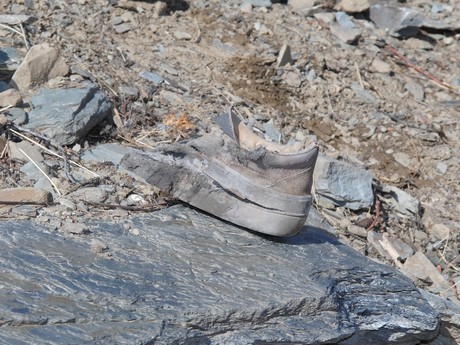 Çukurca'nın Kazan Vadisi'nde (Gelyê Tiyarê) hem incelemelerde bulunmak hem de isimleri açıklanan ancak cenazeleri bulunmayan PKK'lileri aramak için bölgeye giden heyet, 4 PKK'linin cenazesine ulaştı. 