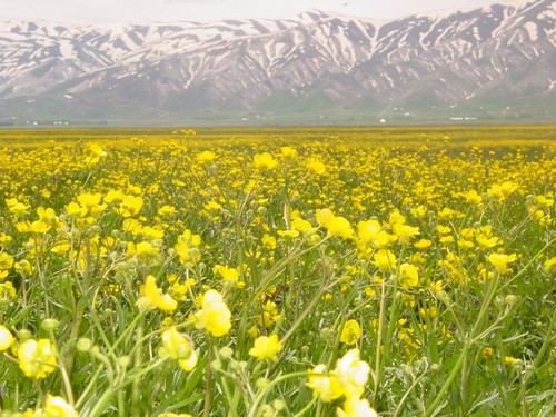 Yüksekova Ovasından Doyumsuz Manzaralar