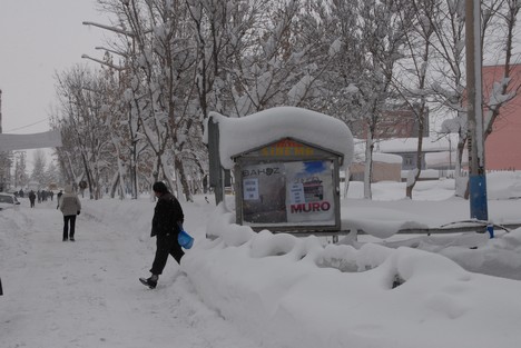 Yüksekova Kar Altında
