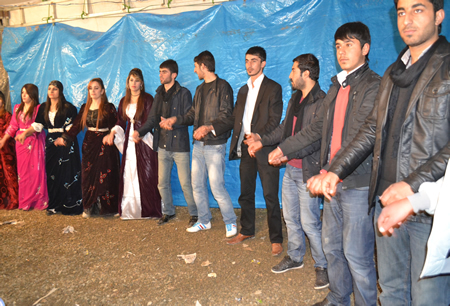 Hakkari'nin Yüksekova ilçesinde 103-04-12.2011 Aralık. Dünya evine giren bazı çiftlerimizi sizler için sayfamıza taşıdık. Yüksekova Güncel ailesi olarak tüm çiftlerimize mutluluklar dileriz.