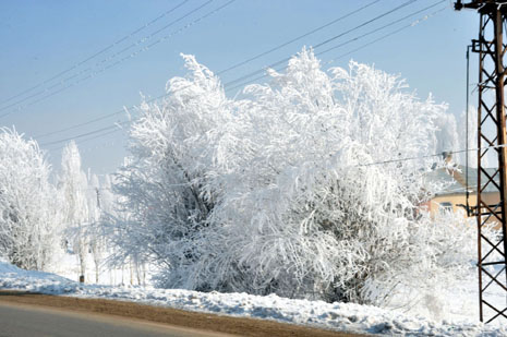 Yüksekova'da kış resimleri Yaşar Kaplan'ın objektiflerinden kareler