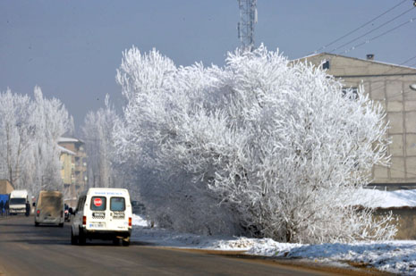 Yüksekova'da kış resimleri Yaşar Kaplan'ın objektiflerinden kareler