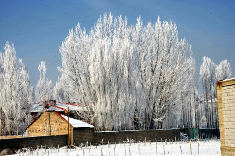 Yüksekova'da kış resimleri Yaşar Kaplan'ın objektiflerinden kareler