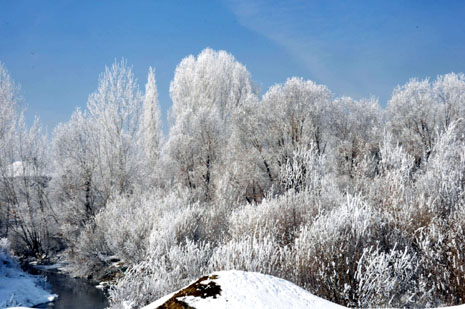 Yüksekova'da kış resimleri Yaşar Kaplan'ın objektiflerinden kareler