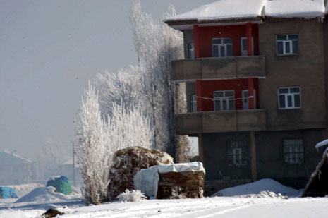 Yüksekova'da kış resimleri Yaşar Kaplan'ın objektiflerinden kareler