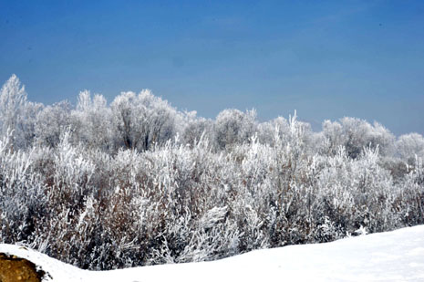Yüksekova'da kış resimleri Yaşar Kaplan'ın objektiflerinden kareler