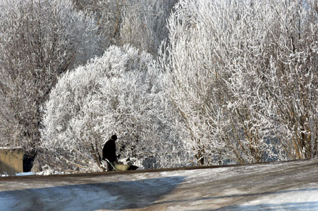 Yüksekova'da kış resimleri Yaşar Kaplan'ın objektiflerinden kareler