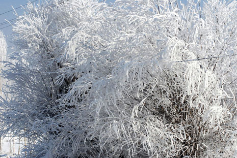 Yüksekova'da kış resimleri Yaşar Kaplan'ın objektiflerinden kareler