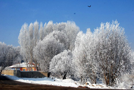 Yüksekova'da kış resimleri Yaşar Kaplan'ın objektiflerinden kareler