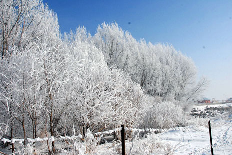 Yüksekova'da kış resimleri Yaşar Kaplan'ın objektiflerinden kareler