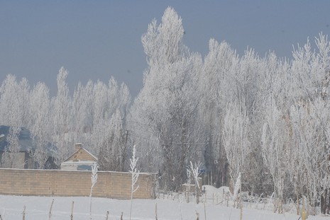 Yüksekova'da kış resimleri Yaşar Kaplan'ın objektiflerinden kareler