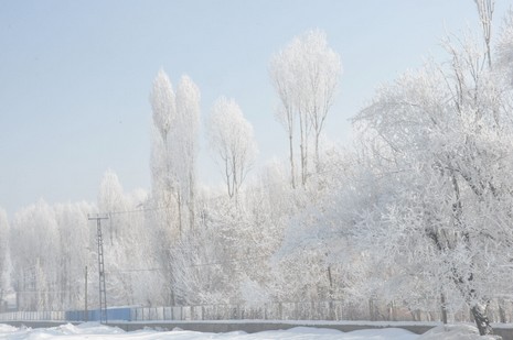 Yüksekova'da kış resimleri Yaşar Kaplan'ın objektiflerinden kareler
