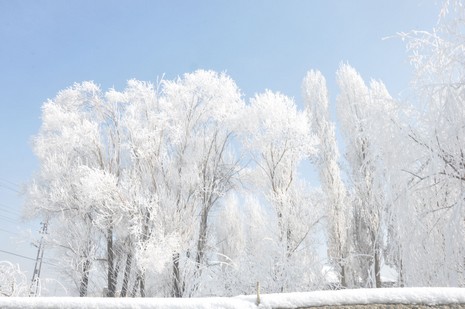 Yüksekova'da kış resimleri Yaşar Kaplan'ın objektiflerinden kareler