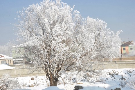 Yüksekova'da kış resimleri Yaşar Kaplan'ın objektiflerinden kareler
