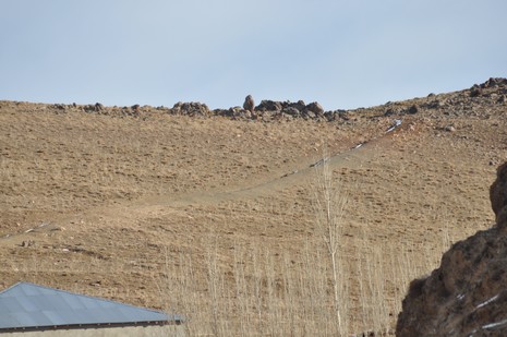 Yüksekova'da kış resimleri Yaşar Kaplan'ın objektiflerinden kareler