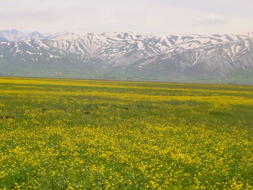 Yüksekova Ovasından Doyumsuz Manzaralar