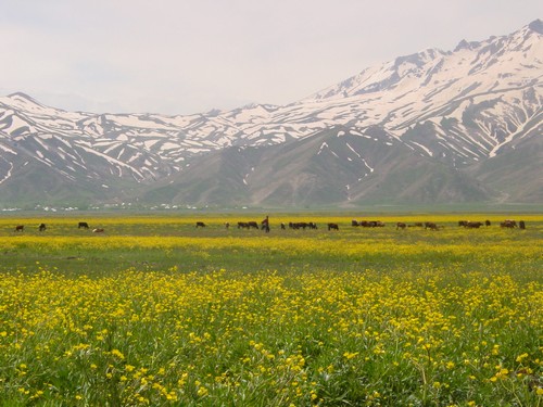 Yüksekova Ovasından Doyumsuz Manzaralar