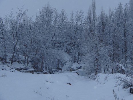 Hakkarinin Çukurca İlçesinde Dün Geceden İtibaren Aralıksız Süren Kar Yağışı, Kentte Günlük Hayatı Olumsuz Yönde Etkiledi