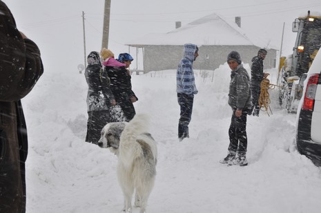 Hakkari'nin Yüksekova ilçesinde tipi nedeni ile 60 yolcu yolda mahsur kaldı