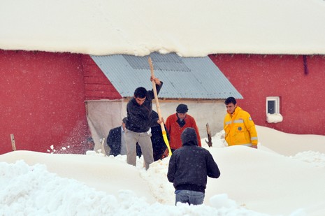 
Hakkarinin Yüksekova ilçesine bağlı Dedeler Köyünde doğum sancıları artan Esma Aslan için İl Özel İdare, 112 ve basın mensupları seferber oldu.