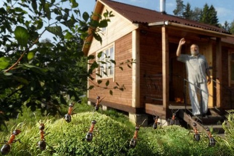 Rus fotoğrafçı Andrey Pavlov, harika makro fotoğraflarıyla karıncaların büyüleyici dünyasından eğlenceli görüntüler ortaya çıkardı.