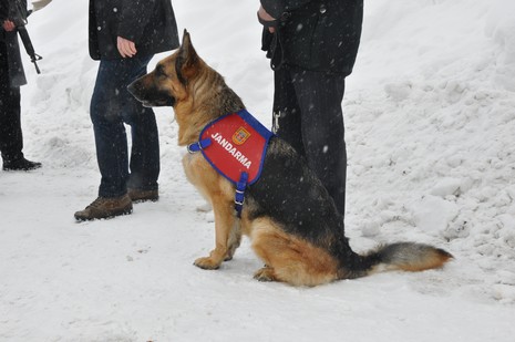 İçişleri Bakanı İdris Naim Şahin, Hakkari'deki incelemelerin ardından Yüksekova ilçesine geldi