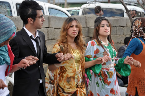 Hakkari'nin Yüksekova İlçesinde Cumhur İle Sevda Işık Çiftinin Mutlu Günü 