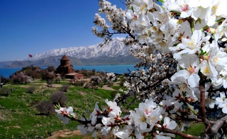 Depremlerin büyük zarar verdiği Van'da, Gevaş İlçesi'ndeki Akdamar Adası'na gidenler, kuş sesleri arasında mavinin, yeşilin ve rengarenk çiçeklerin süslediği doyumsuz manzarayı seyrederek, depremi ve yaşadıkları acıları unutmaya çalışıyor.