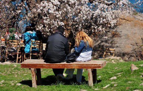 Depremlerin büyük zarar verdiği Van'da, Gevaş İlçesi'ndeki Akdamar Adası'na gidenler, kuş sesleri arasında mavinin, yeşilin ve rengarenk çiçeklerin süslediği doyumsuz manzarayı seyrederek, depremi ve yaşadıkları acıları unutmaya çalışıyor.
