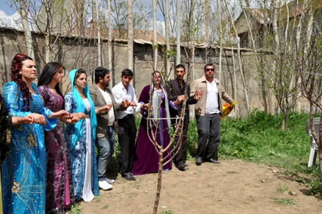 Hakkari'nin Yüksekova ilçesinde 05-06-2012 Mayıs ayında dünya evine giren çiftlerimizi sizler için sayfamıza taşıdık. Foto: Görüntü: YAŞAR KAPLAN - SİNAN AKKURT