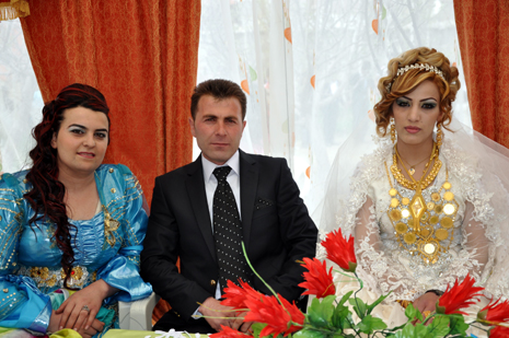 Hakkari'nin Yüksekova ilçesinde 05-06-2012 Mayıs ayında dünya evine giren çiftlerimizi sizler için sayfamıza taşıdık. Foto: Görüntü: YAŞAR KAPLAN - SİNAN AKKURT