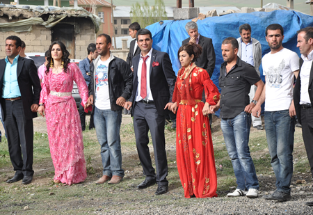 Hakkari'nin Yüksekova ilçesinde 12-13-05- 2012 Dünya evine Giren Çiftlerimizi Sizler için Sayfamıza taşıdık. Yüksekova Güncel Ailesi olarak Tüm Çiftlerimize mutluluklar Dileriz. Foto-Görüntü: Yaşar KAPLAN- Sinan AKKURT