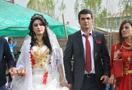 Hakkari'nin Yüksekova ilçesinde 12-13-05- 2012 Dünya evine Giren Çiftlerimizi Sizler için Sayfamıza taşıdık. Yüksekova Güncel Ailesi olarak Tüm Çiftlerimize mutluluklar Dileriz. Foto-Görüntü: Yaşar KAPLAN- Sinan AKKURT