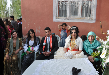 Hakkari'nin Yüksekova ilçesinde 12-13-05- 2012 Dünya evine Giren Çiftlerimizi Sizler için Sayfamıza taşıdık. Yüksekova Güncel Ailesi olarak Tüm Çiftlerimize mutluluklar Dileriz. Foto-Görüntü: Yaşar KAPLAN- Sinan AKKURT
