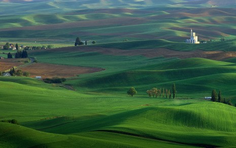 Bakmaya Doyamayacağınız Kareler