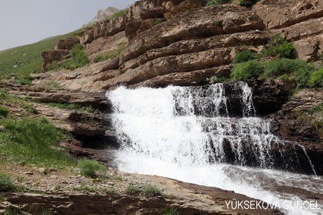 Baharı bir başka, kışı bir başka kokan güzel ilçemizin dağlarında buram buram özgürlük kokuyor. Yüksekovada dört mevsimi bir arada yaşamının güzelliğini siz okuyucularımız için görüntüledik. 