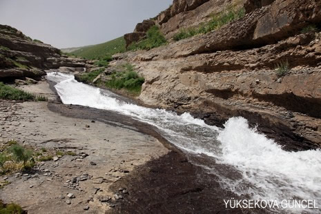 Baharı bir başka, kışı bir başka kokan güzel ilçemizin dağlarında buram buram özgürlük kokuyor. Yüksekovada dört mevsimi bir arada yaşamının güzelliğini siz okuyucularımız için görüntüledik. 