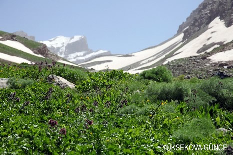 Baharı bir başka, kışı bir başka kokan güzel ilçemizin dağlarında buram buram özgürlük kokuyor. Yüksekovada dört mevsimi bir arada yaşamının güzelliğini siz okuyucularımız için görüntüledik. 