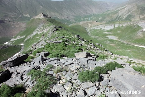 Baharı bir başka, kışı bir başka kokan güzel ilçemizin dağlarında buram buram özgürlük kokuyor. Yüksekovada dört mevsimi bir arada yaşamının güzelliğini siz okuyucularımız için görüntüledik. 