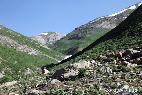 Baharı bir başka, kışı bir başka kokan güzel ilçemizin dağlarında buram buram özgürlük kokuyor. Yüksekovada dört mevsimi bir arada yaşamının güzelliğini siz okuyucularımız için görüntüledik. 