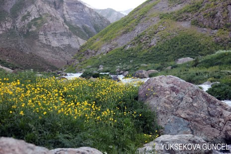 Baharı bir başka, kışı bir başka kokan güzel ilçemizin dağlarında buram buram özgürlük kokuyor. Yüksekovada dört mevsimi bir arada yaşamının güzelliğini siz okuyucularımız için görüntüledik. 