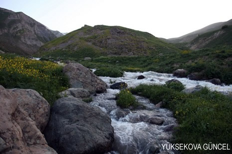 Baharı bir başka, kışı bir başka kokan güzel ilçemizin dağlarında buram buram özgürlük kokuyor. Yüksekovada dört mevsimi bir arada yaşamının güzelliğini siz okuyucularımız için görüntüledik. 