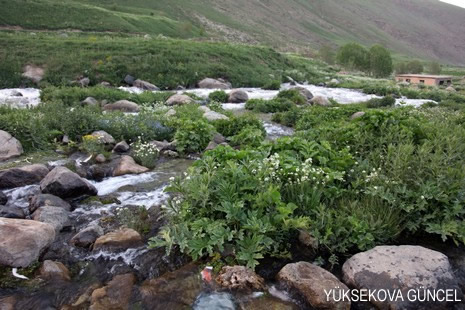 Baharı bir başka, kışı bir başka kokan güzel ilçemizin dağlarında buram buram özgürlük kokuyor. Yüksekovada dört mevsimi bir arada yaşamının güzelliğini siz okuyucularımız için görüntüledik. 