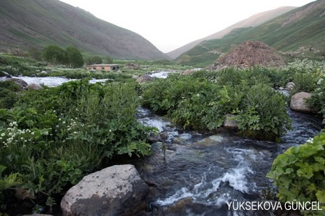 Baharı bir başka, kışı bir başka kokan güzel ilçemizin dağlarında buram buram özgürlük kokuyor. Yüksekovada dört mevsimi bir arada yaşamının güzelliğini siz okuyucularımız için görüntüledik. 