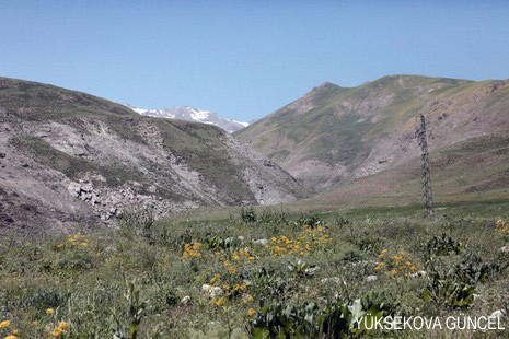 Baharı bir başka, kışı bir başka kokan güzel ilçemizin dağlarında buram buram özgürlük kokuyor. Yüksekovada dört mevsimi bir arada yaşamının güzelliğini siz okuyucularımız için görüntüledik. 