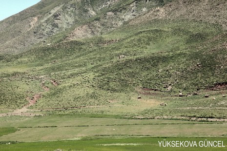 Baharı bir başka, kışı bir başka kokan güzel ilçemizin dağlarında buram buram özgürlük kokuyor. Yüksekovada dört mevsimi bir arada yaşamının güzelliğini siz okuyucularımız için görüntüledik. 